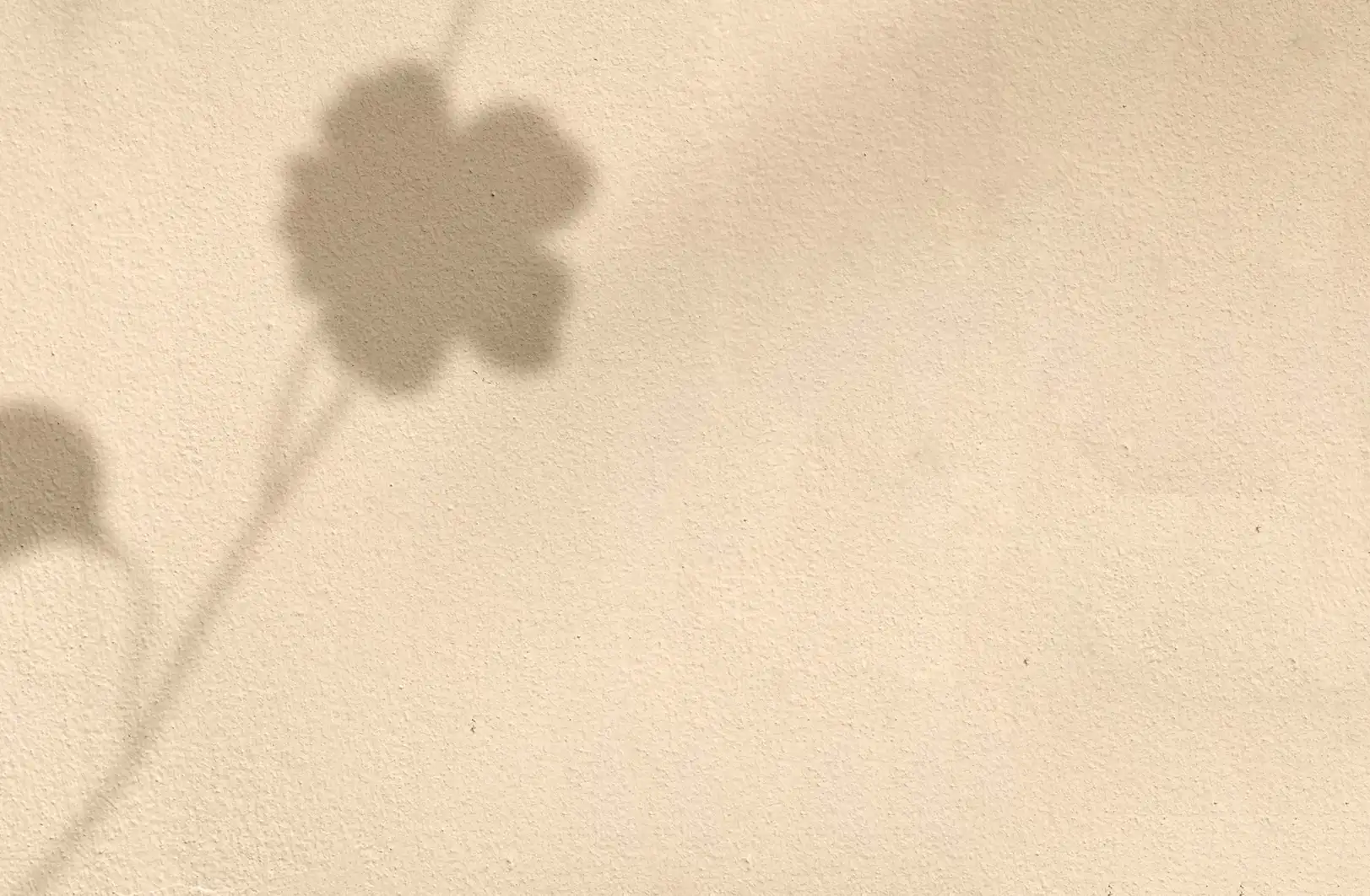 Floor Plans Background